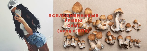 сатива Ветлуга