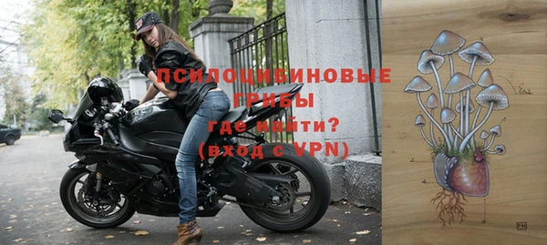 PSILOCYBIN Волосово