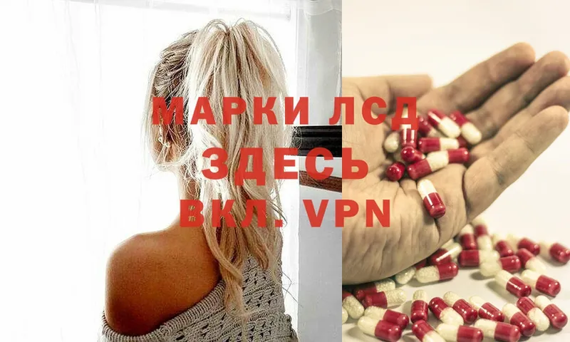 ЛСД экстази ecstasy  купить наркотики цена  mega вход  Венёв 